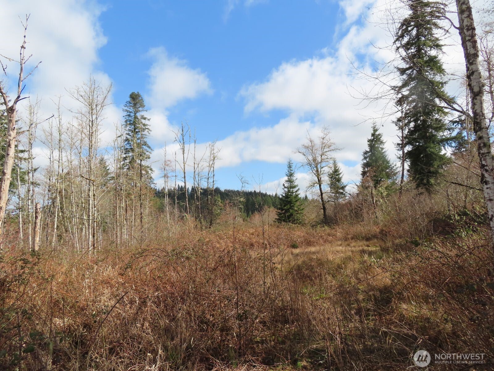 a view of a lake from a yard