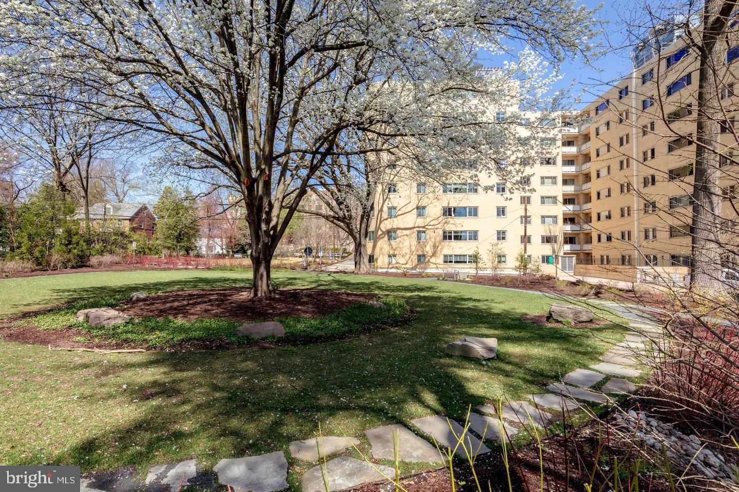 4600 Connecticut Avenue Northwest, Unit 601 Washington, DC 20008 - Photo 19 of 21 a view of yard with tree