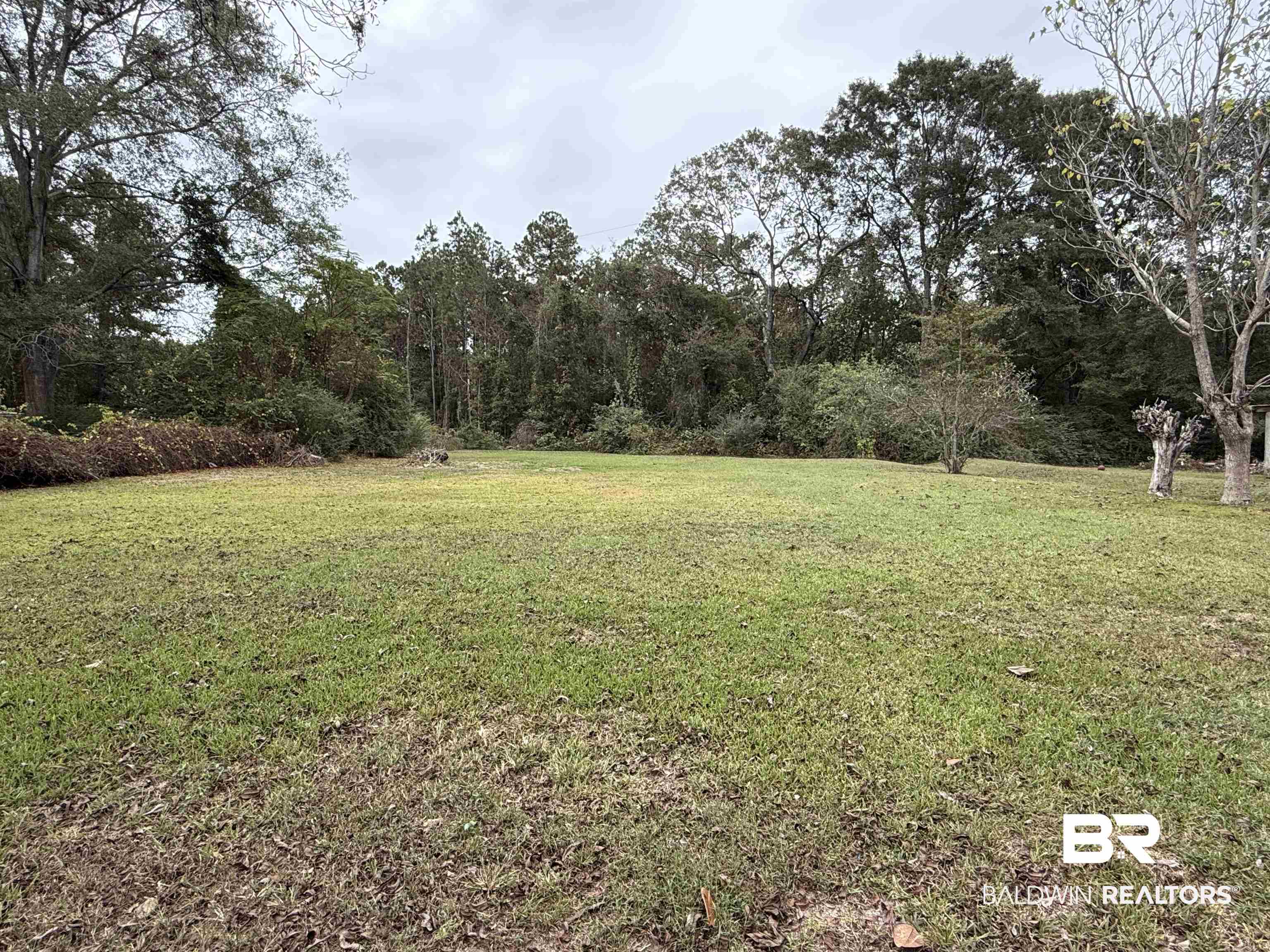 90 Florida Street Monroeville, AL 36460 - Photo 7 of 31 View of yard