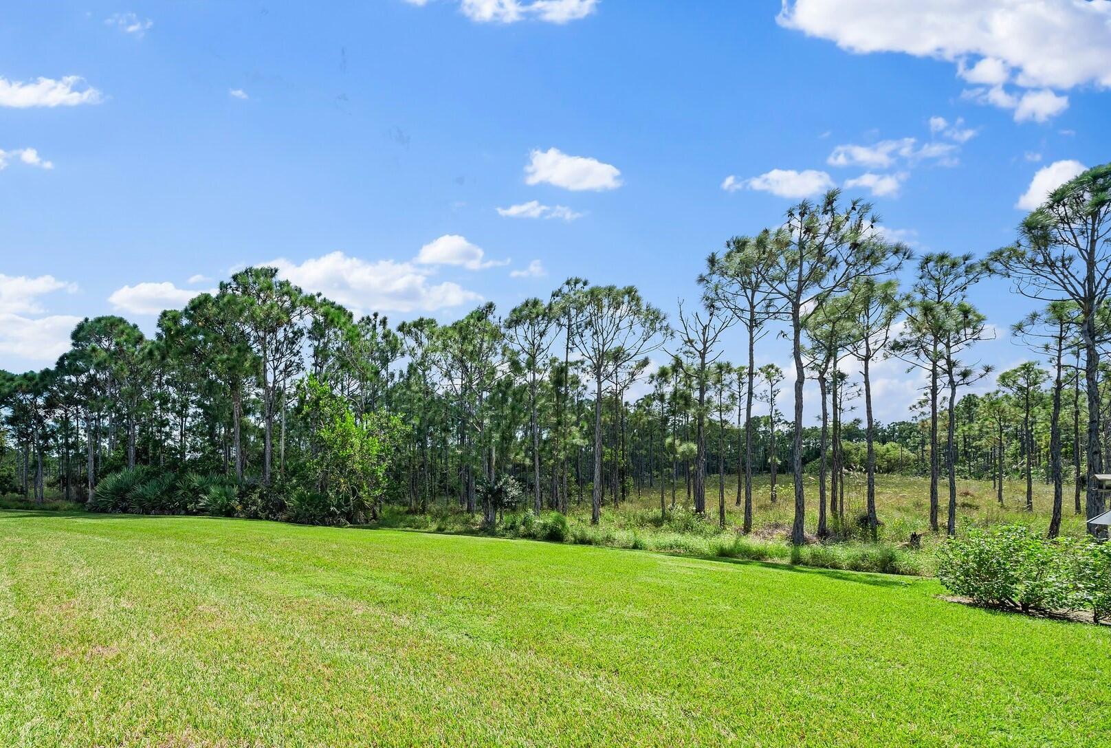 3008 Southeast Racoon Way Stuart, FL 34997 - Photo 12 of 45 Privacy with Preserve