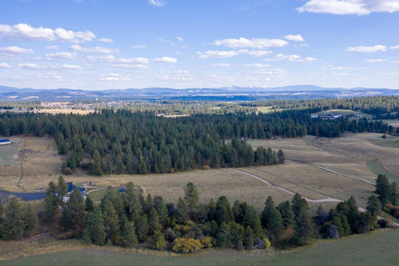 18114 North Austin Road Spokane, WA 99208 - Photo 12 of 15