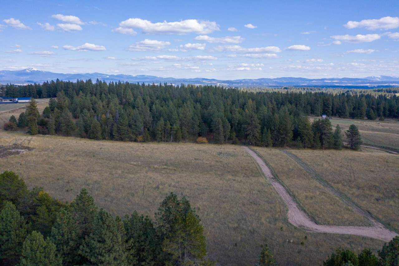 18114 North Austin Road Spokane, WA 99208 - Photo 15 of 15