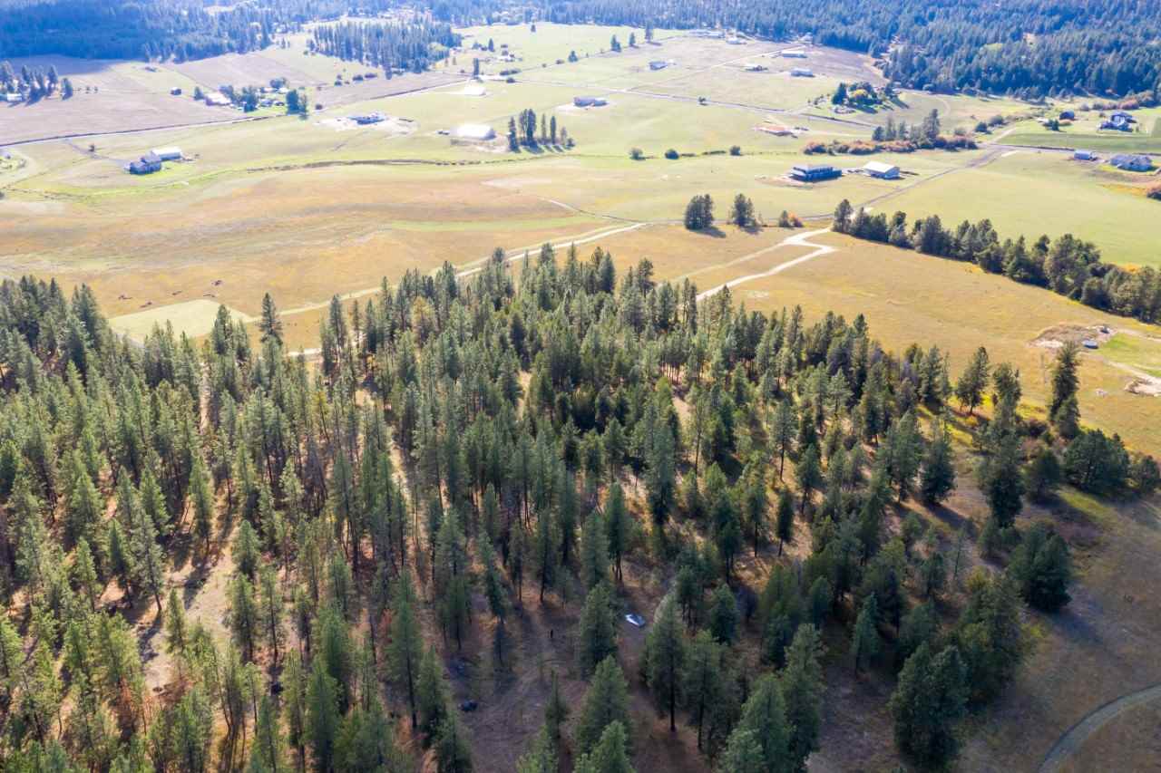 18114 North Austin Road Spokane, WA 99208 - Photo 4 of 15