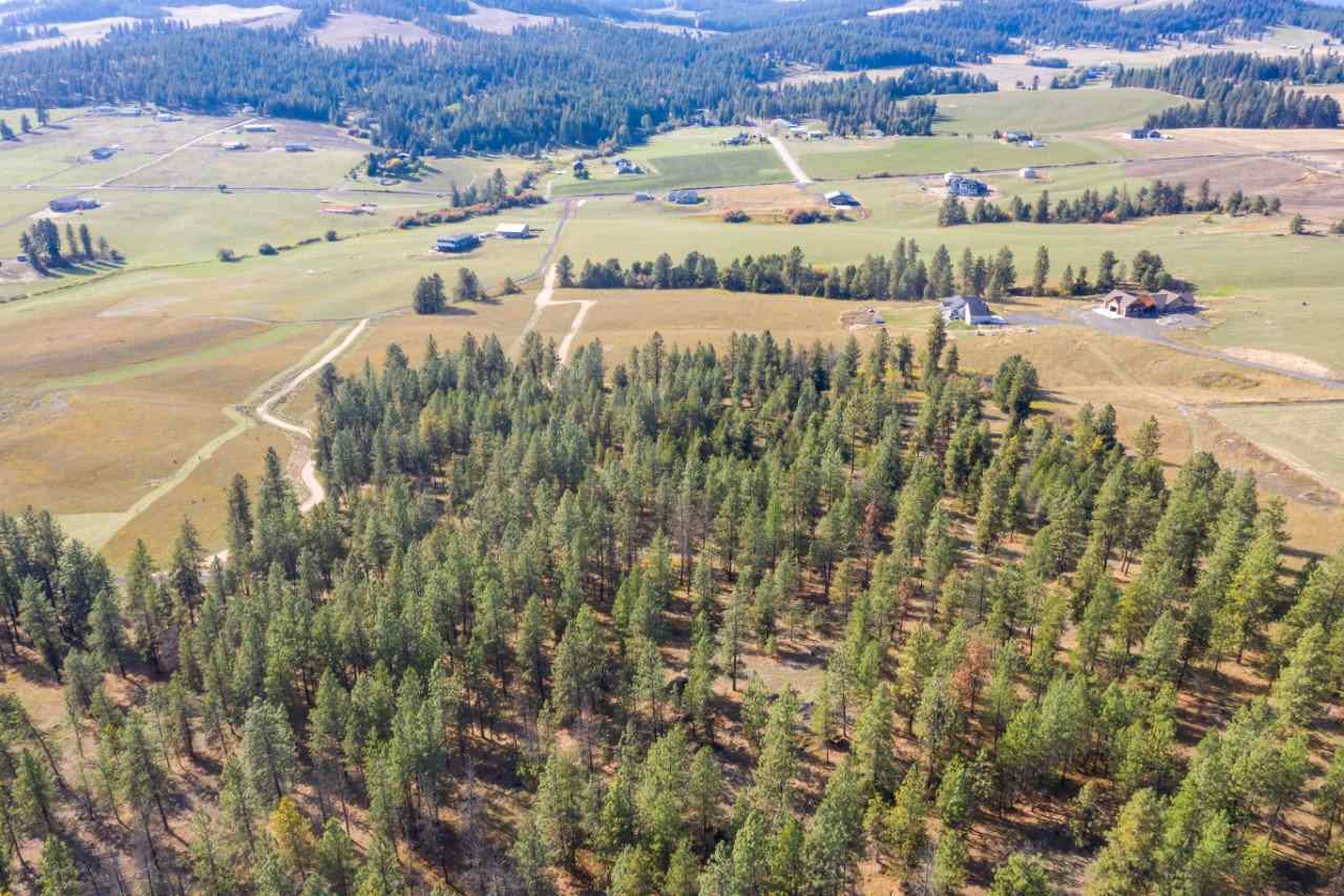 18114 North Austin Road Spokane, WA 99208 - Photo 5 of 15