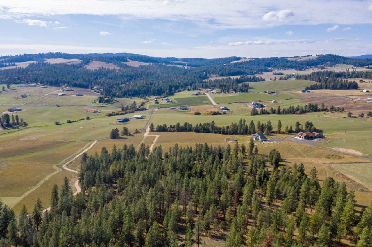 18114 North Austin Road Spokane, WA 99208 - Photo 6 of 15