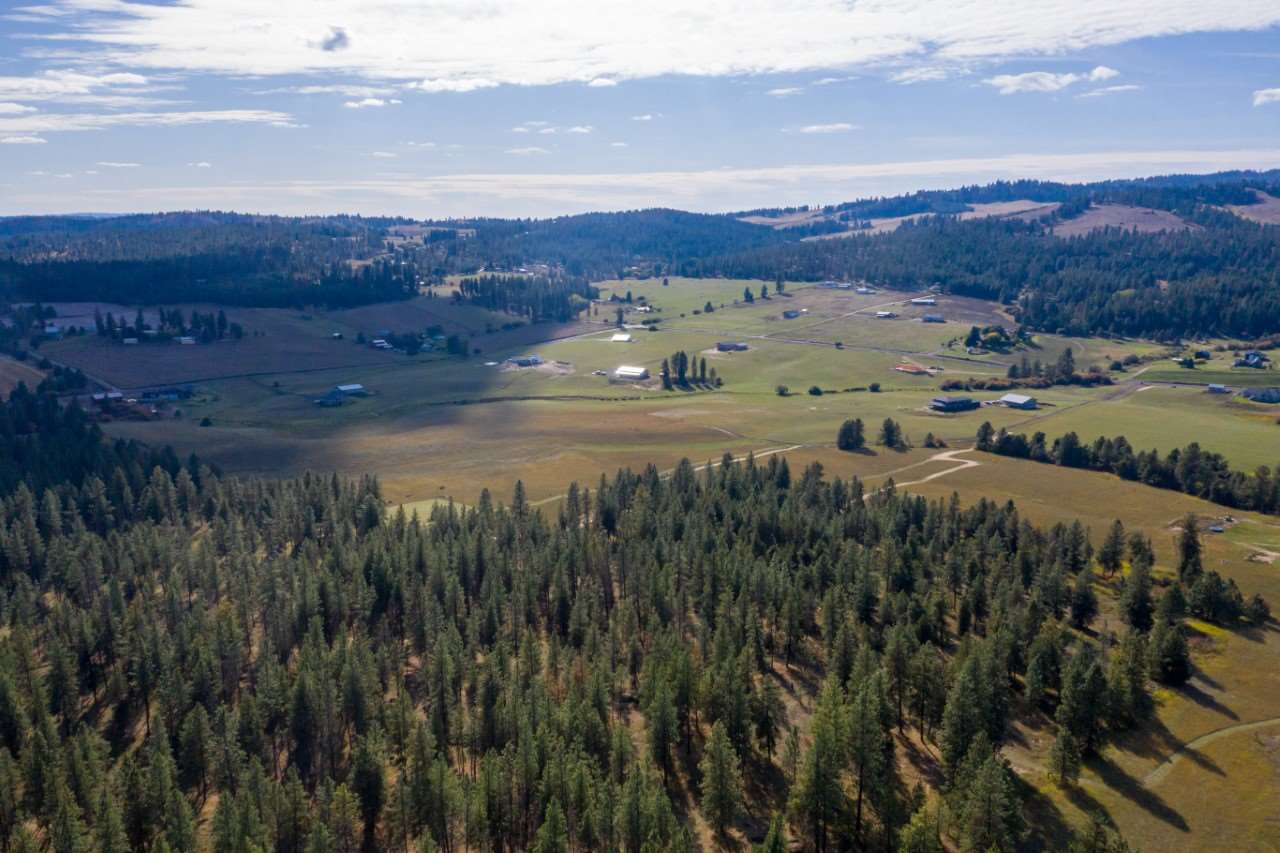 18114 North Austin Road Spokane, WA 99208 - Photo 7 of 15