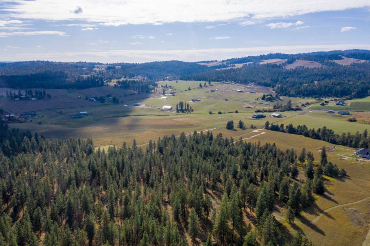 18114 North Austin Road Spokane, WA 99208 - Photo 8 of 15