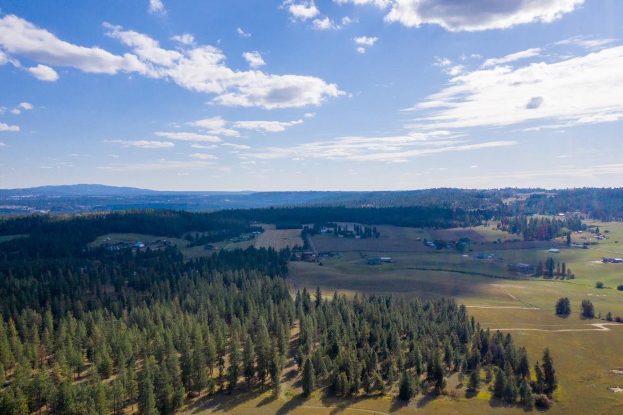 18114 North Austin Road Spokane, WA 99208 - Photo 9 of 15