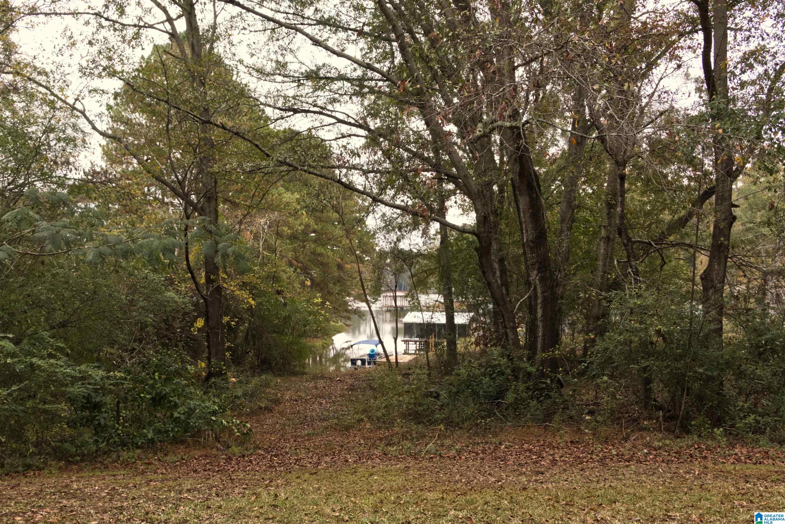 580 Lee Circle Cropwell, AL 35054 - Photo 4 of 17