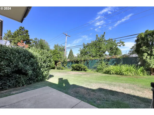 a view of a backyard with plants and large tree