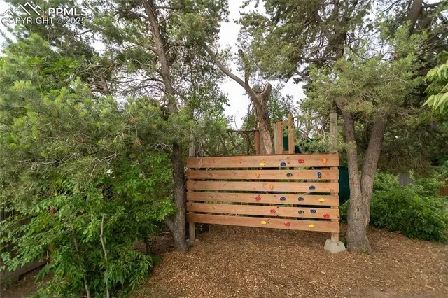 a view of dirt field with trees around