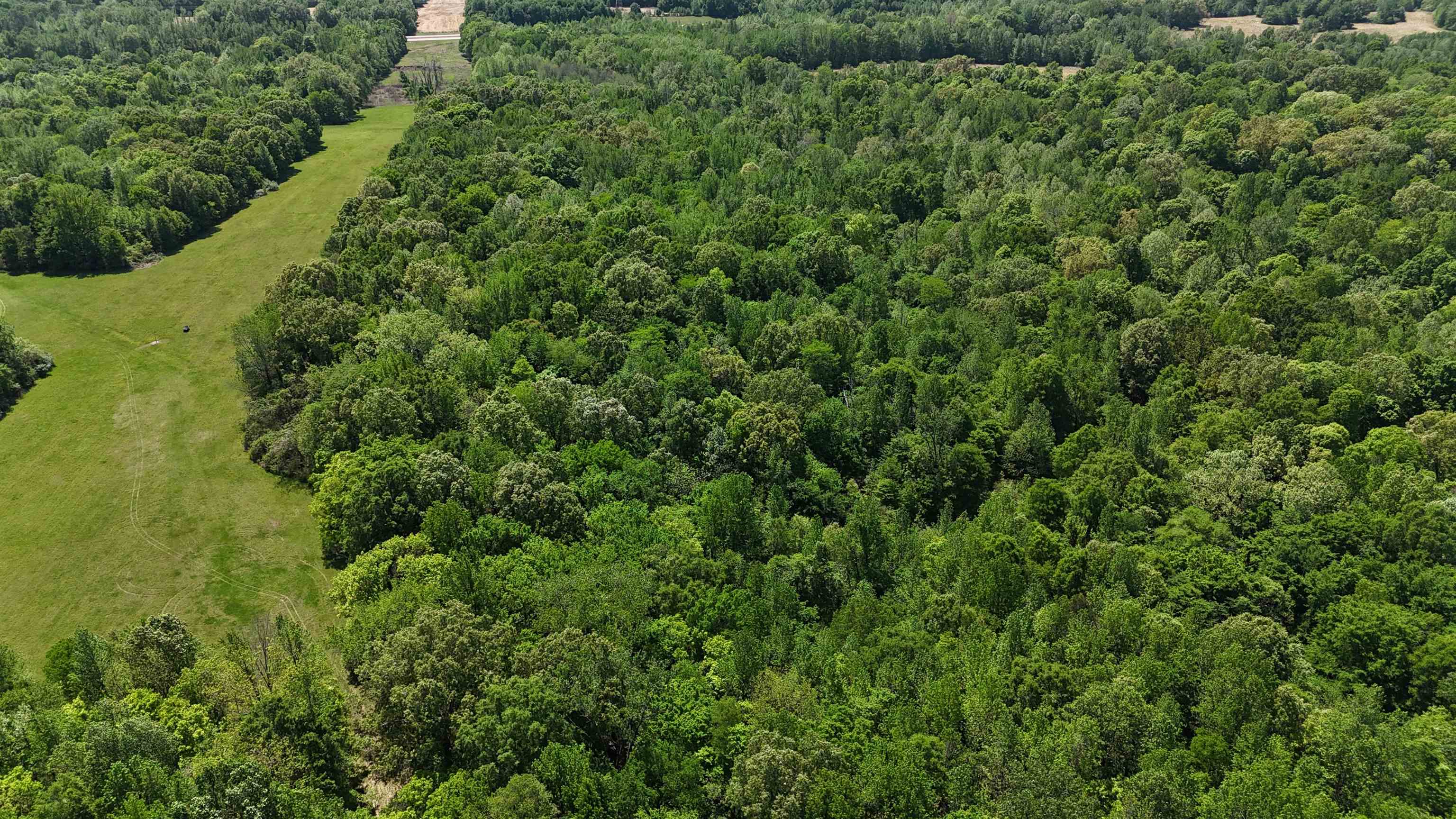 0 North Osborntown Road, Unit TRACT 2 30 ACRES Arlington, TN 38002 - Photo 3 of 10