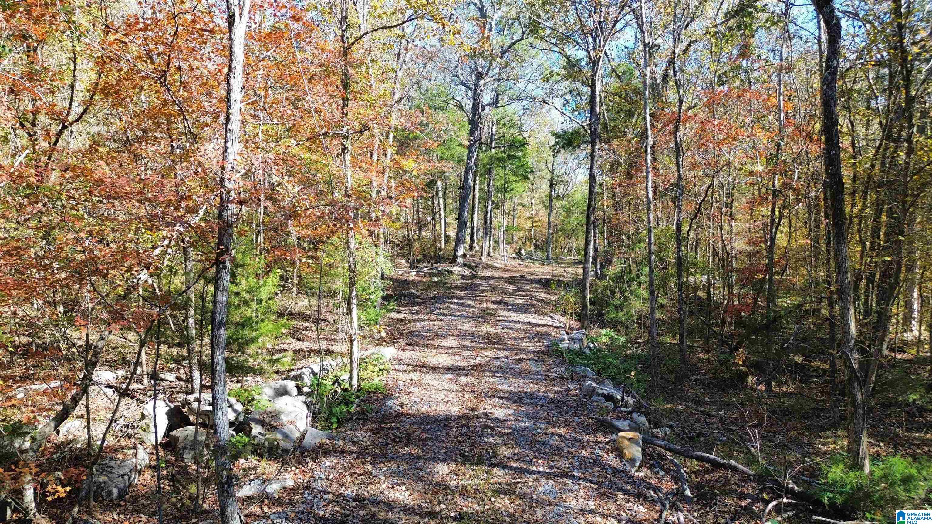 0 Mill Creek Road, Unit 20 Warrior, AL 35180 - Photo 12 of 17