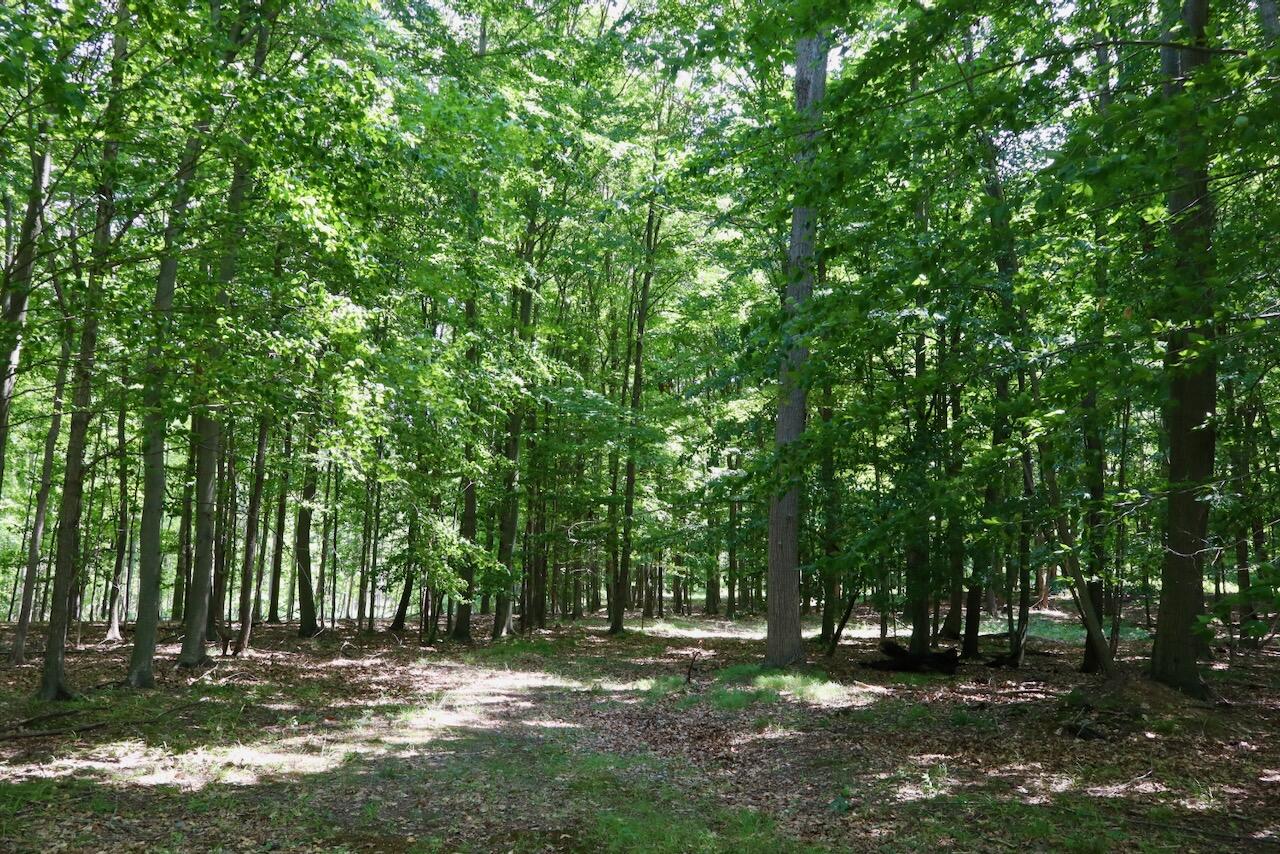 4718 Church Road Six Lakes, MI 48886 - Photo 55 of 76 050