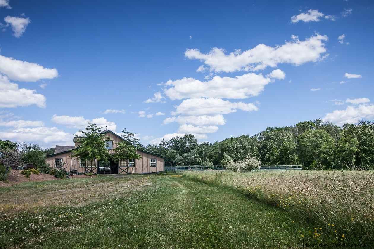 276 Krum Road Kerhonkson, NY 12446 - Photo 28 of 34 a view of a big yard with plants and large trees