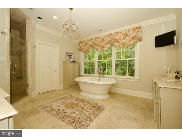 201 Pintail Pointe Road New Hope, PA 18938 - Photo 14 of 25 Bathroom