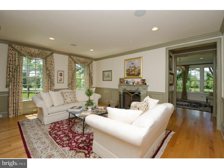 201 Pintail Pointe Road New Hope, PA 18938 - Photo 3 of 25 Living Room