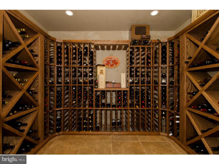 201 Pintail Pointe Road New Hope, PA 18938 - Photo 22 of 25 Wine Cellar