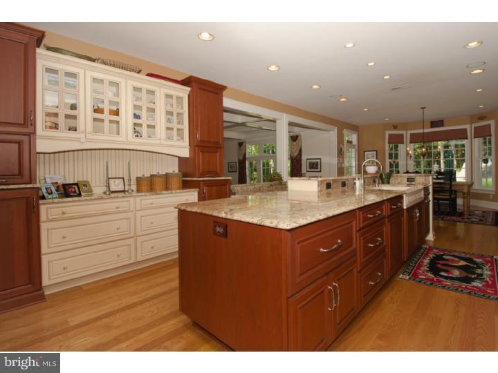 201 Pintail Pointe Road New Hope, PA 18938 - Photo 6 of 25 Kitchen