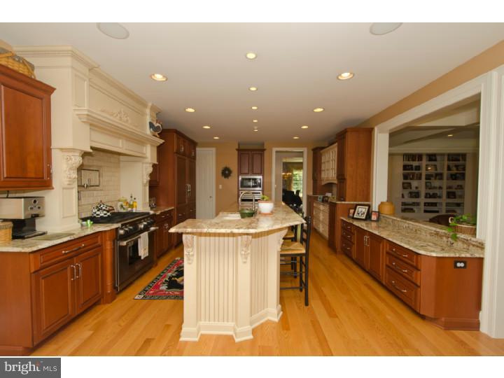 201 Pintail Pointe Road New Hope, PA 18938 - Photo 7 of 25 Kitchen