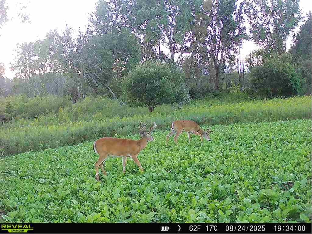 Low Road Forestville, WI 54213 - Photo 10 of 17 Gallery Image 10