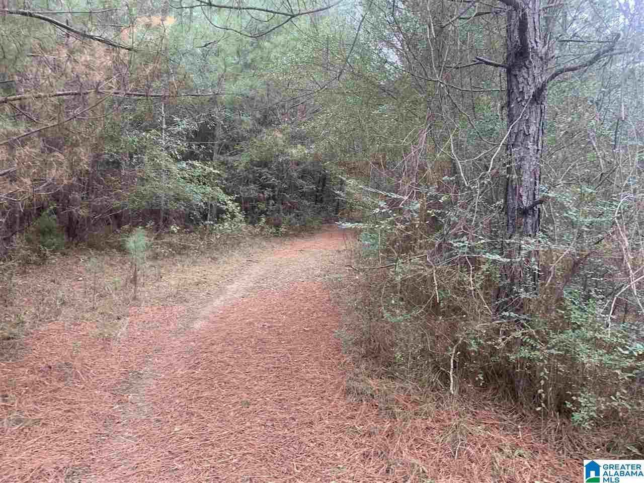 0 Homestead Drive, Unit 1 Springville, AL 35146 - Photo 7 of 32