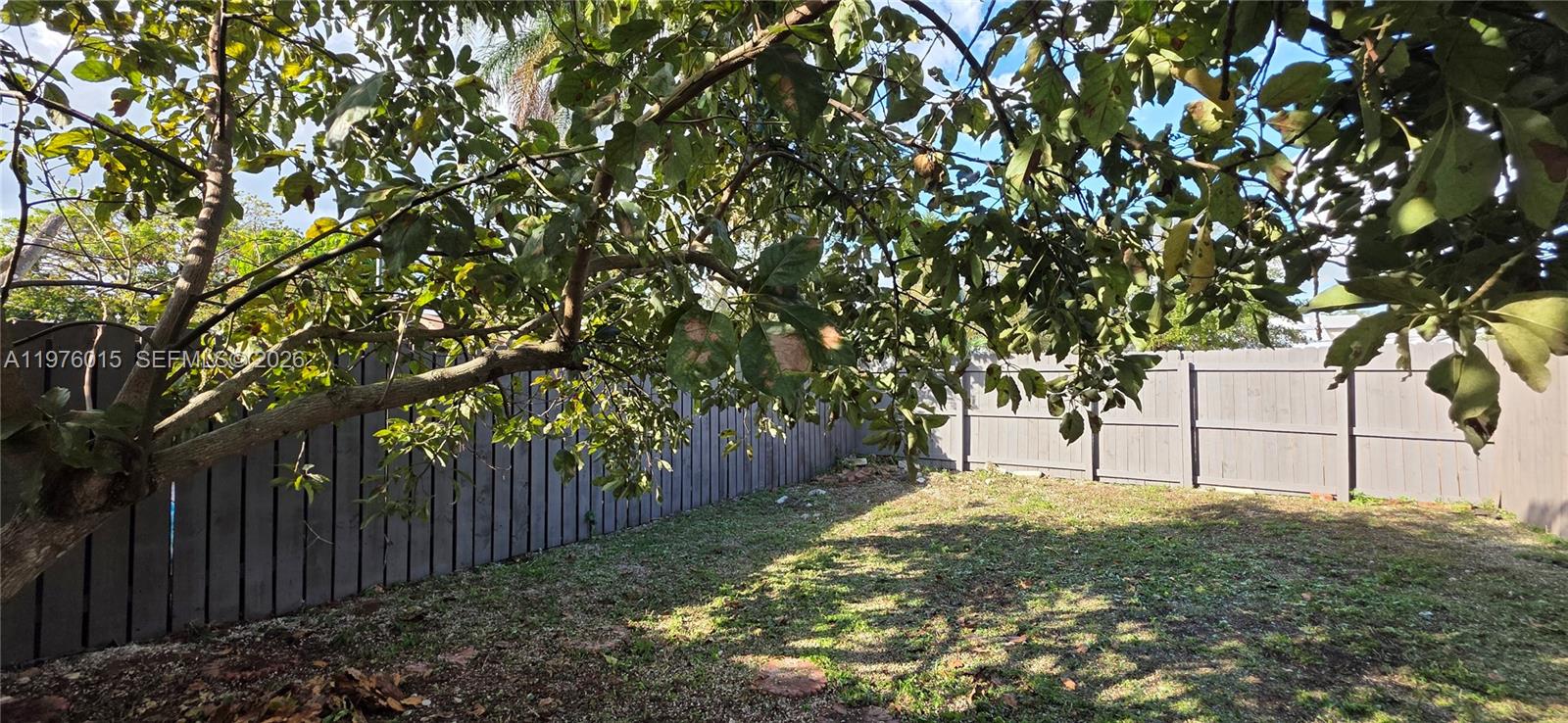 11321 Southwest 65th Street Miami, FL 33173 - Photo 24 of 24 a white house with tree in front of it