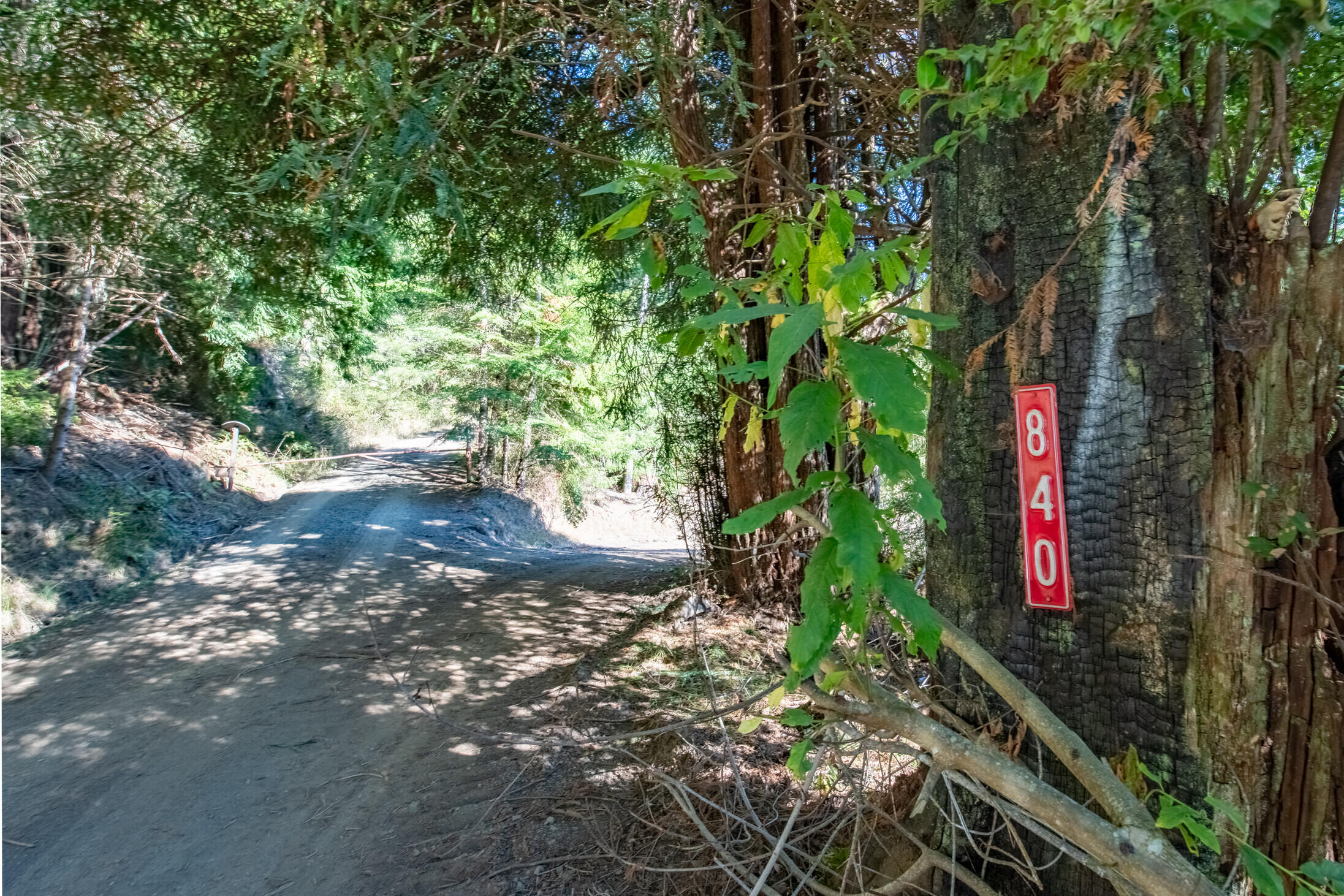 840 Cloudswood Road Fieldbrook, CA 95519 - Photo 1 of 22