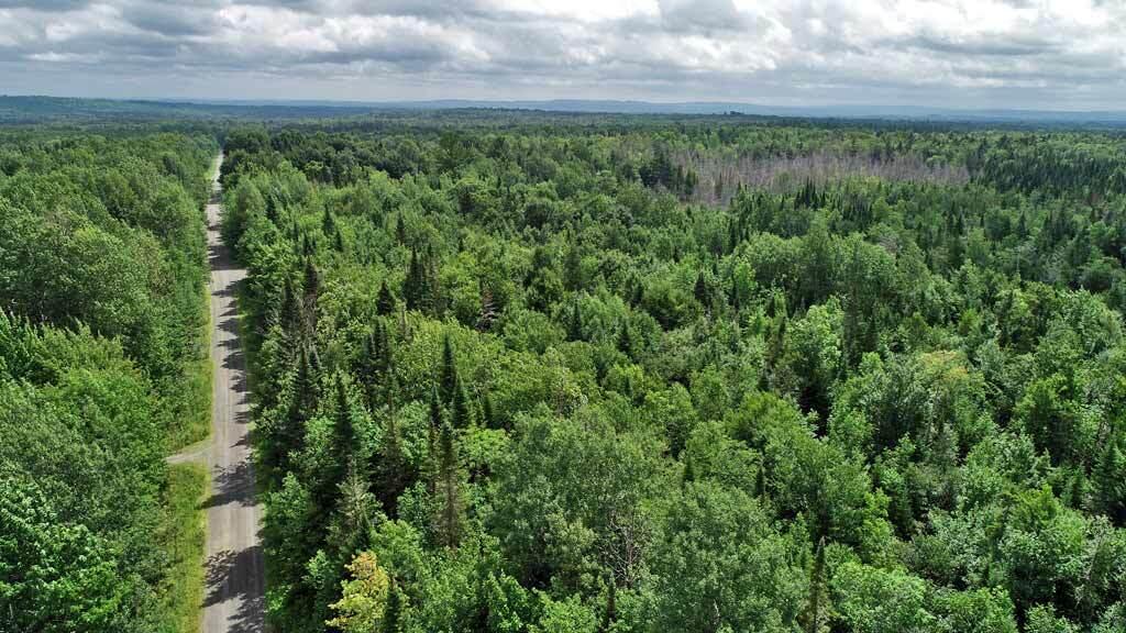 Lot 8 Laskey Road Houlton, ME 04730 - Photo 5 of 25 trees-acxreage-northern-me