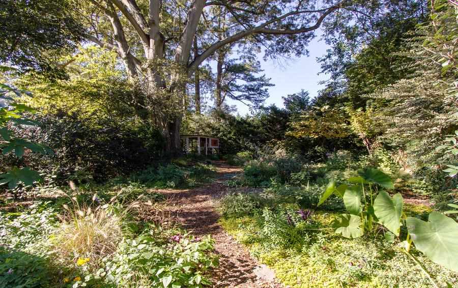 400 Perry Street Raleigh, NC 27608 - Photo 19 of 22 a view of a yard with plants and large trees