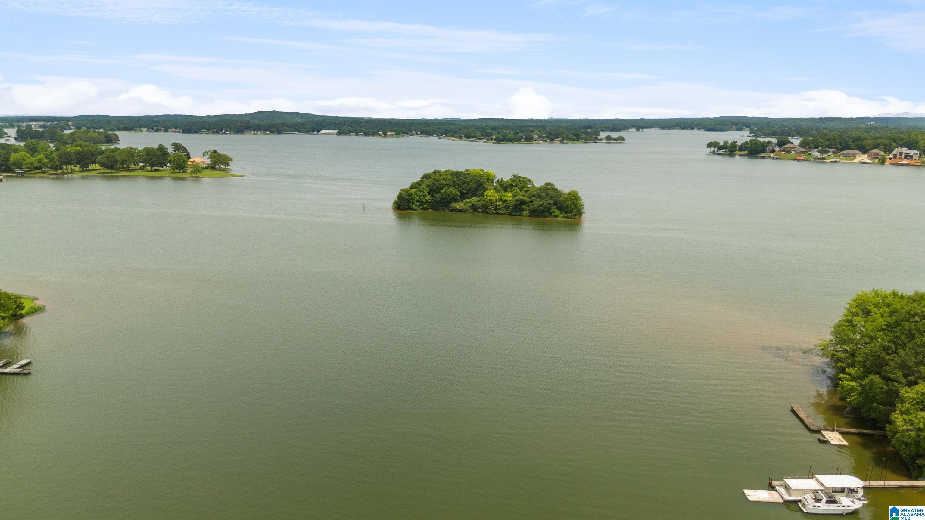 113 Harmons Island Road Cropwell, AL 35054 - Photo 61 of 61