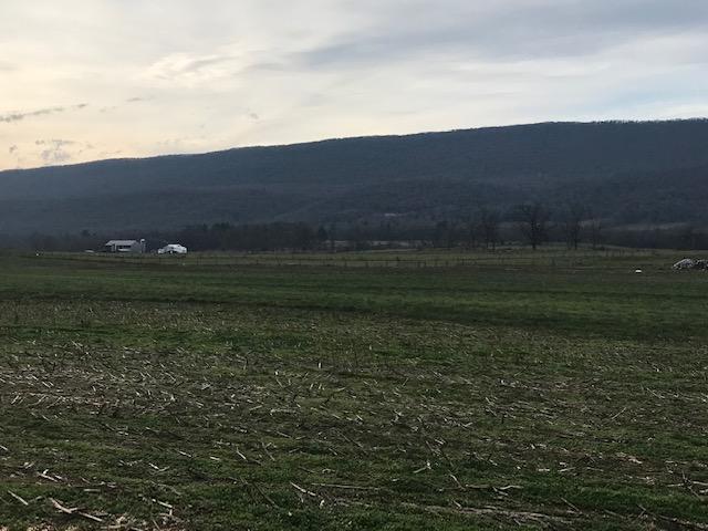 3 3 Cent Lane, Unit 0LOT 3 Reedsville, PA 17084 - Photo 2 of 5 Gallery Image 2