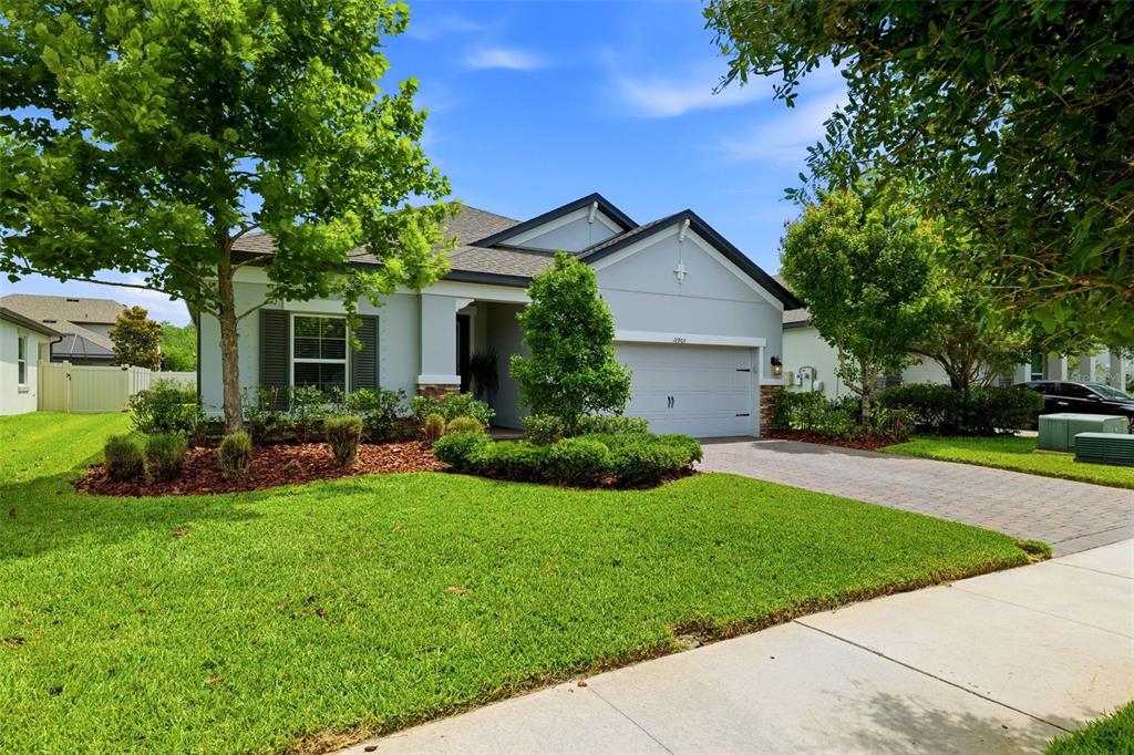 11903 Ranchers Gap Drive Odessa, FL 33556 - Photo 35 of 50