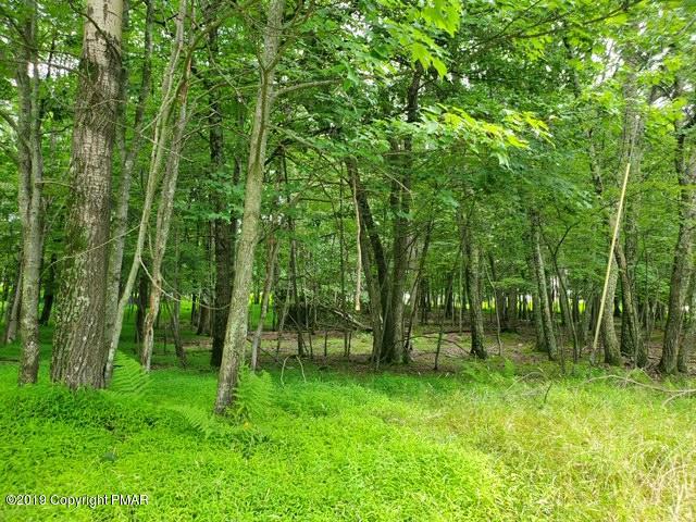 594 Pne Rdg Drive Bushkill, PA 18324 - Photo 2 of 5 IMG_3897
