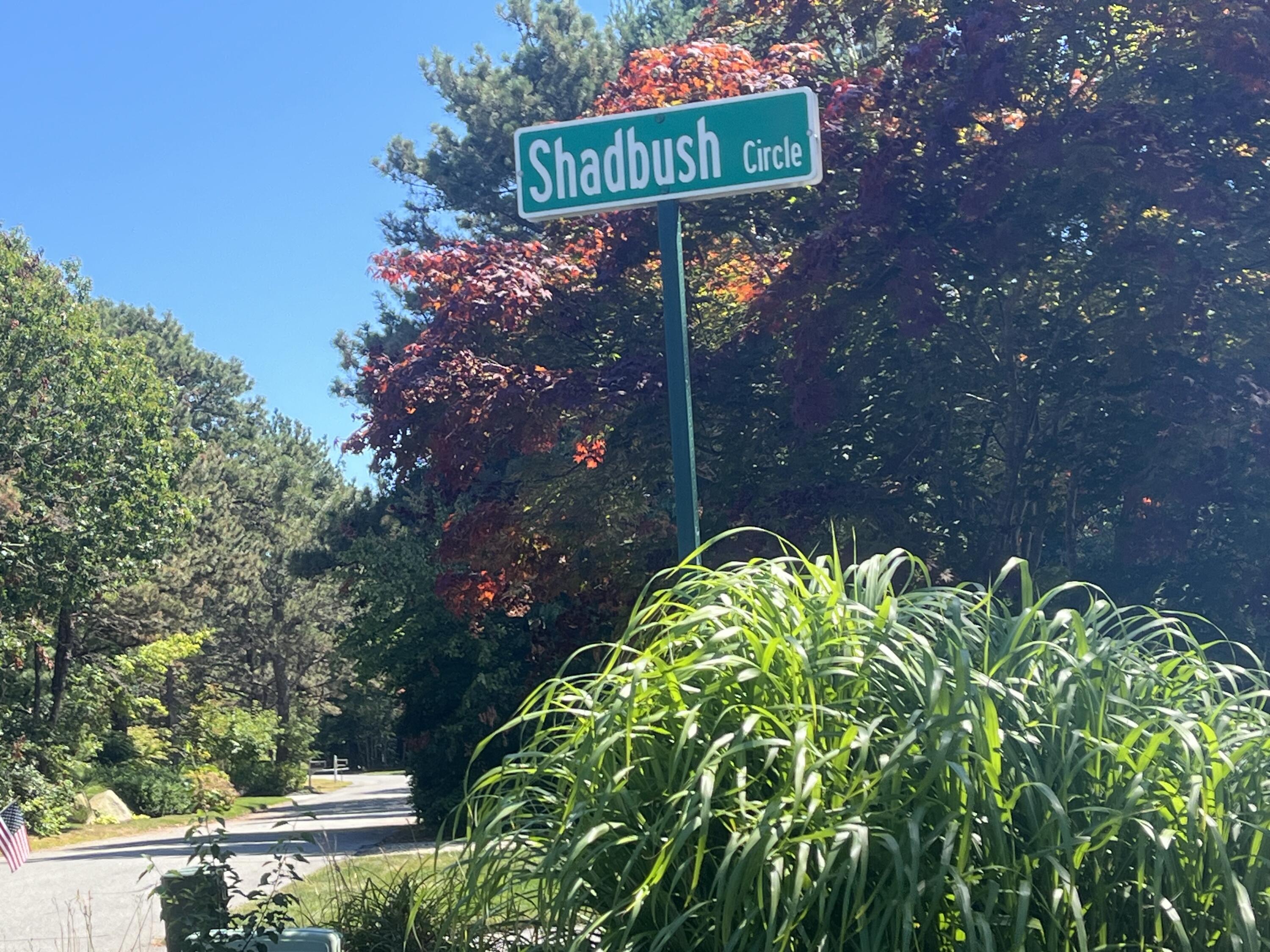 10 Shadbush Circle Mashpee, MA 02649 - Photo 3 of 12 IMG_9303