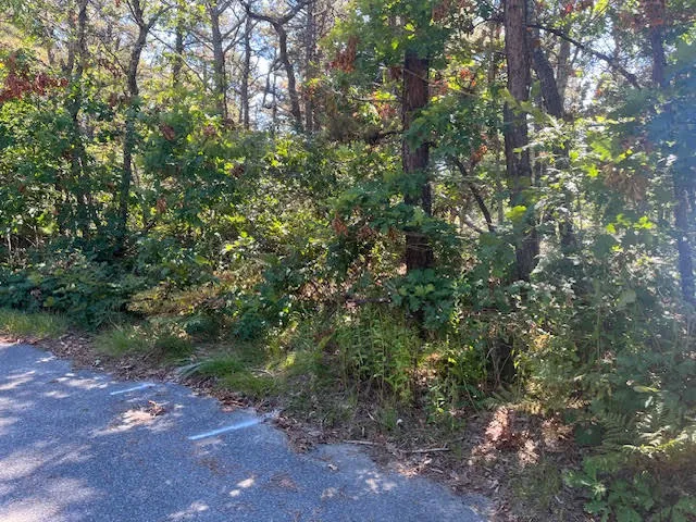 a big yard with lots of green space and a forest