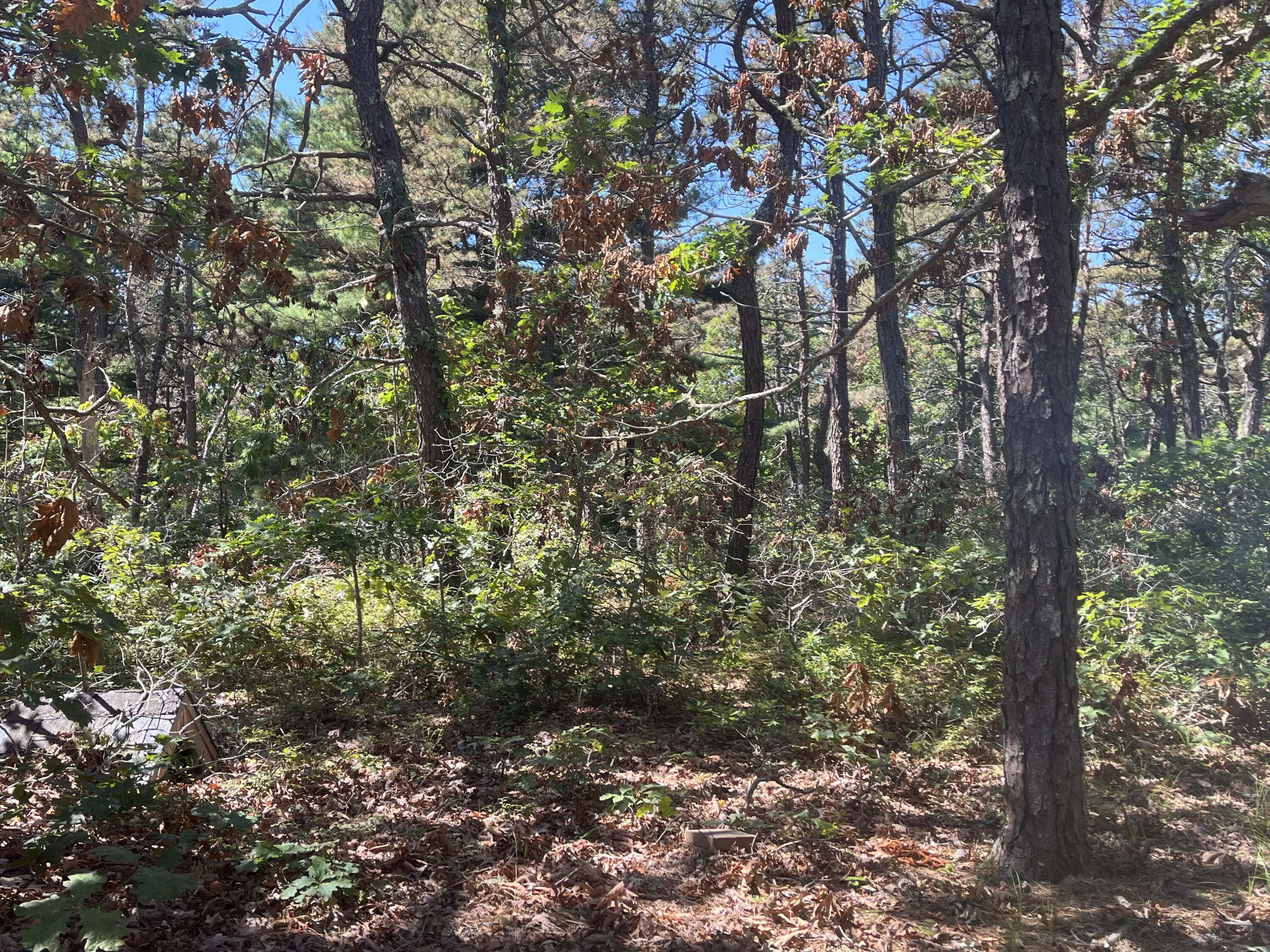 10 Shadbush Circle Mashpee, MA 02649 - Photo 10 of 12 IMG_9305