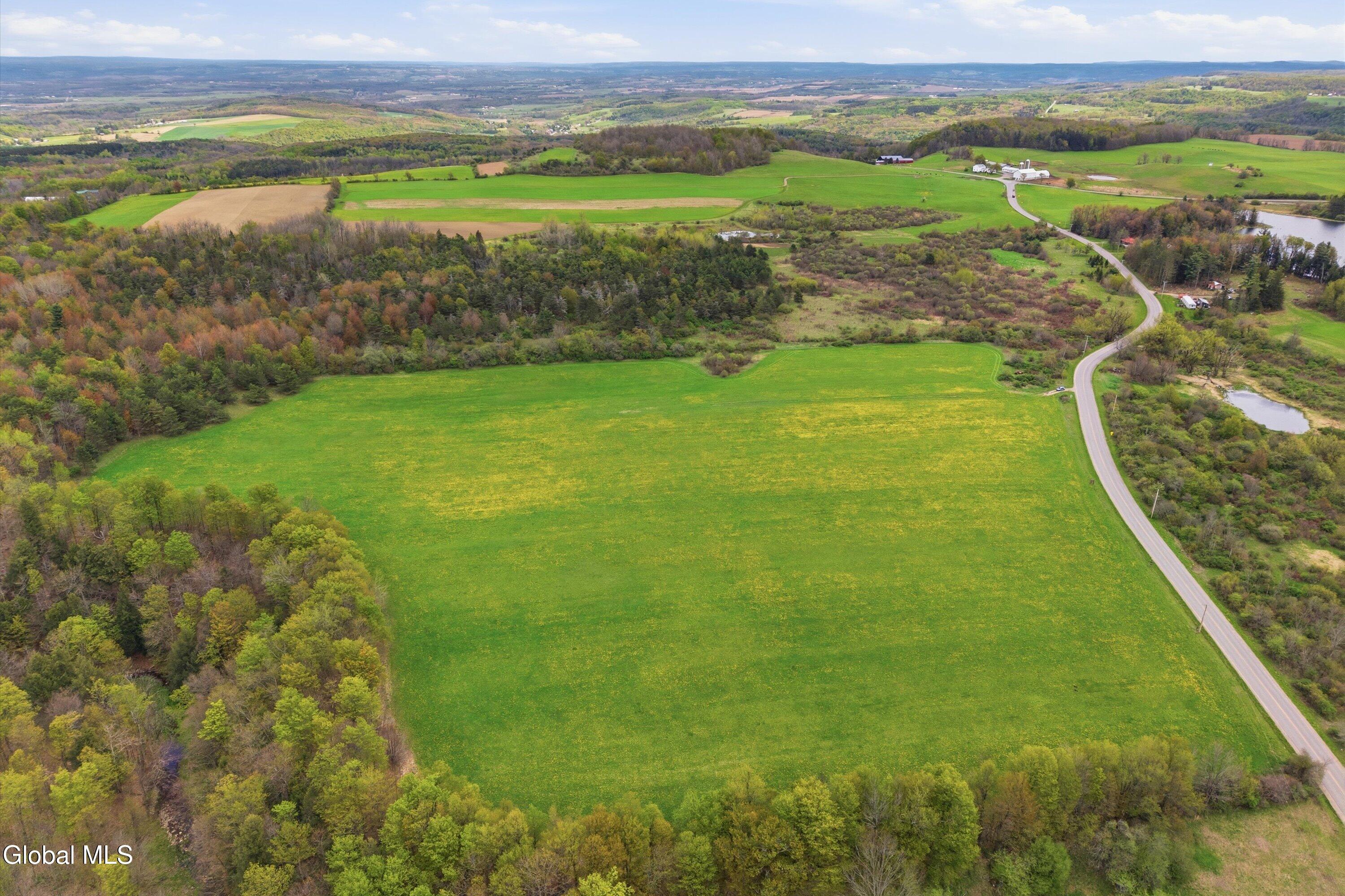 L27 Travis Road Fort Plain, NY 13339 - Photo 10 of 11 177.70 acre - Travis Rd lot