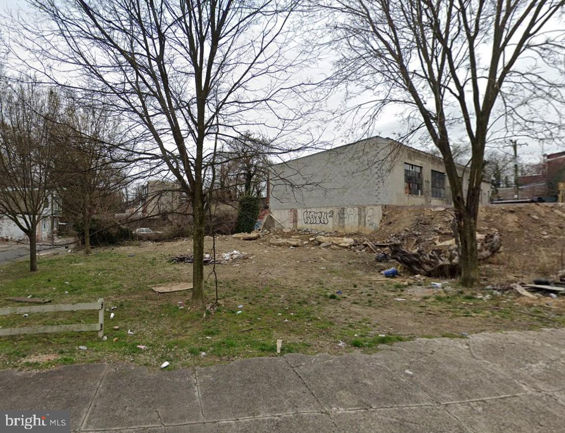 328 East Armat Street Philadelphia, PA 19144 - Photo 1 of 1 a view of a yard with a tree