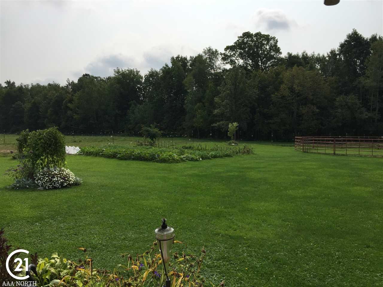 9219 Webb Road Goodells, MI 48027 - Photo 4 of 57