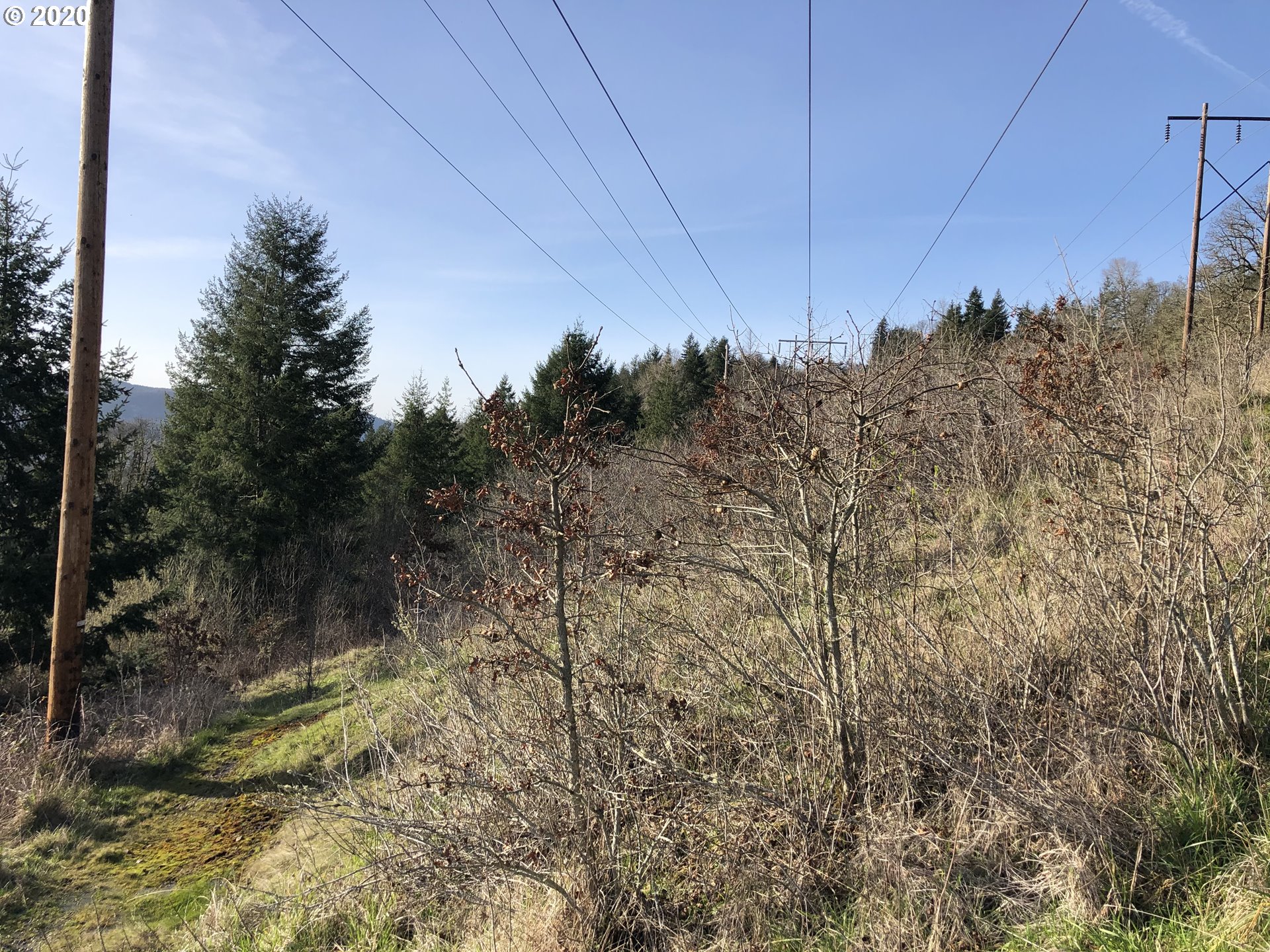 Bluff Road Kelso, WA 98626 - Photo 9 of 11 Gallery Image 9