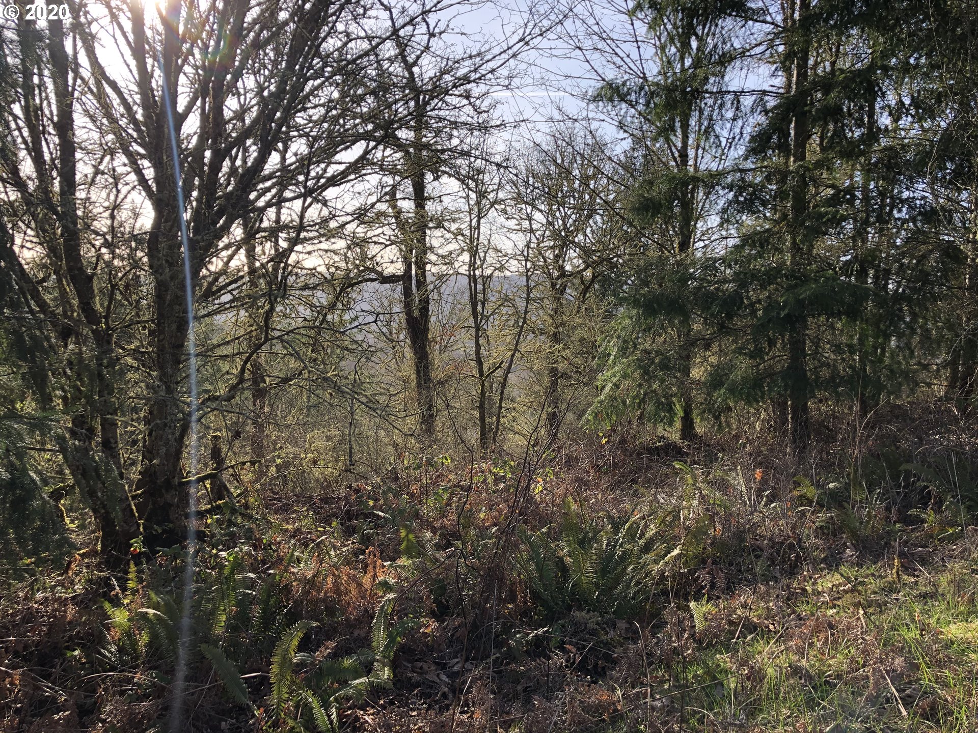 Bluff Road Kelso, WA 98626 - Photo 10 of 11 Gallery Image 10