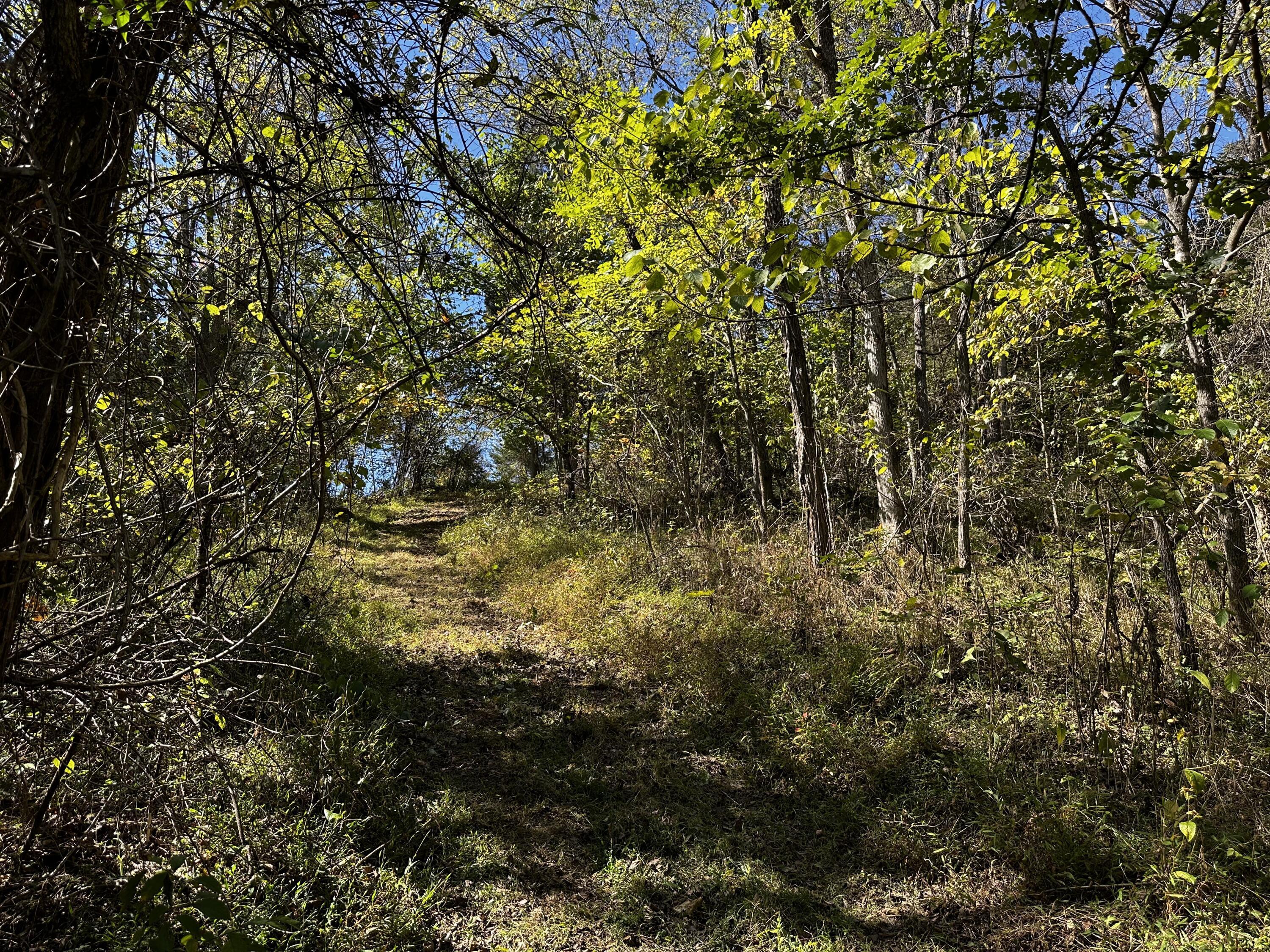 865 Hull Road, Unit TRACT 13 WOODS WAYNE FOREST) Patriot, OH 45658 - Photo 33 of 57 20241008_175416653_iOS