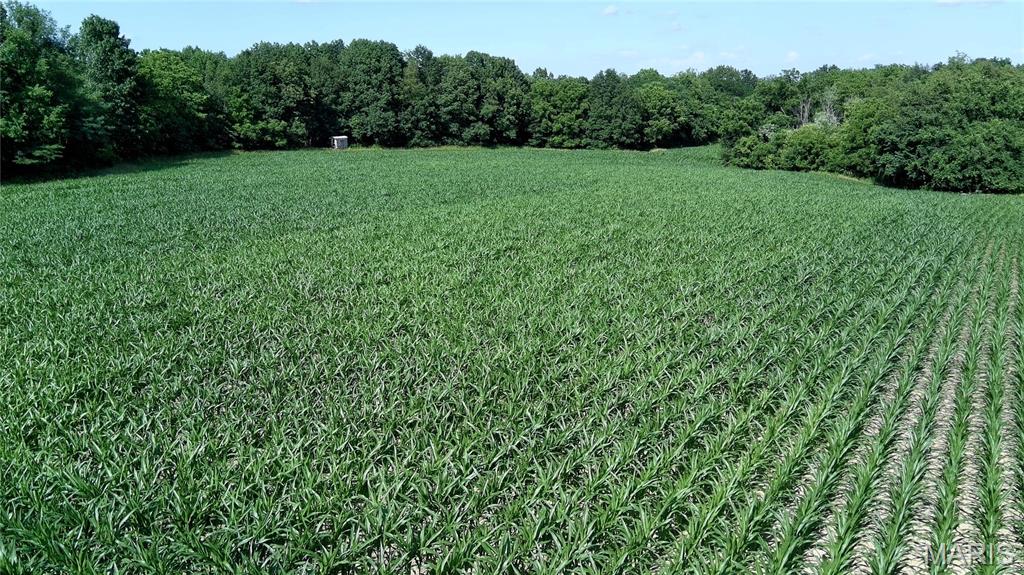 0 Interurban Circle Hillsboro, IL 62049 - Photo 2 of 7