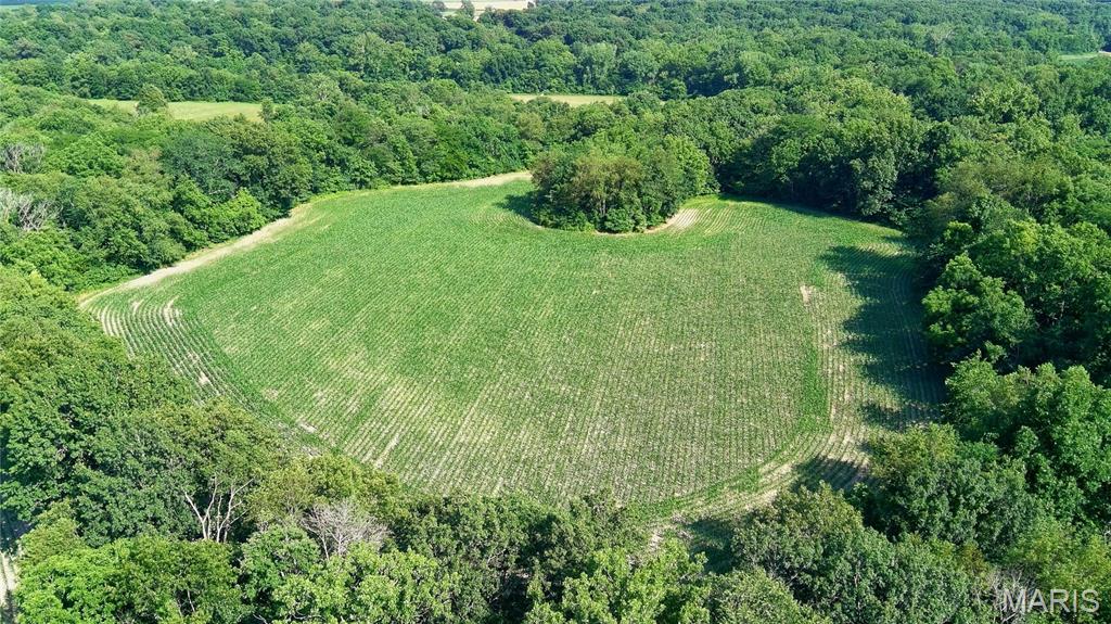 0 Interurban Circle Hillsboro, IL 62049 - Photo 3 of 7