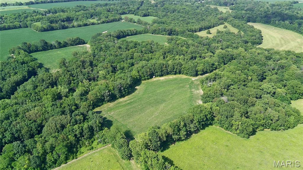 0 Interurban Circle Hillsboro, IL 62049 - Photo 4 of 7