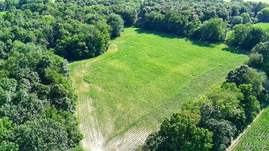 0 Interurban Circle Hillsboro, IL 62049 - Photo 5 of 7