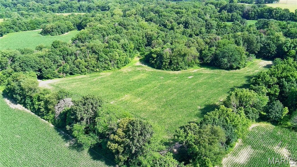 0 Interurban Circle Hillsboro, IL 62049 - Photo 6 of 7