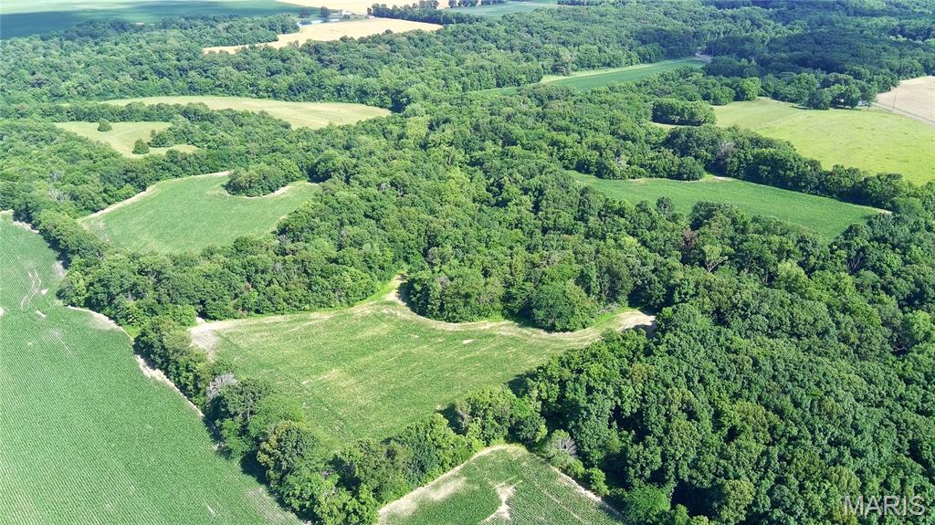 0 Interurban Circle Hillsboro, IL 62049 - Photo 7 of 7