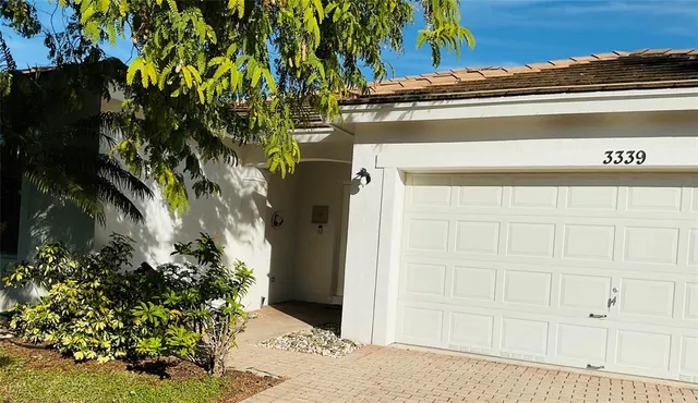 a view of a potted plant